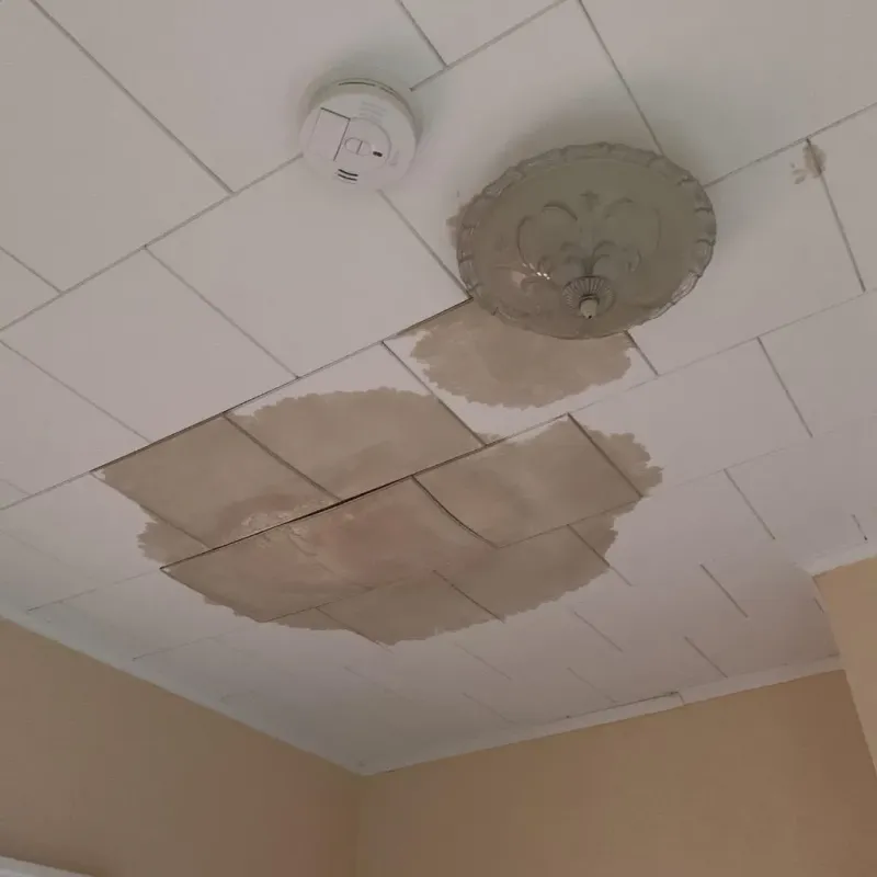 Ceiling Water Damage Repair in Reading, OH