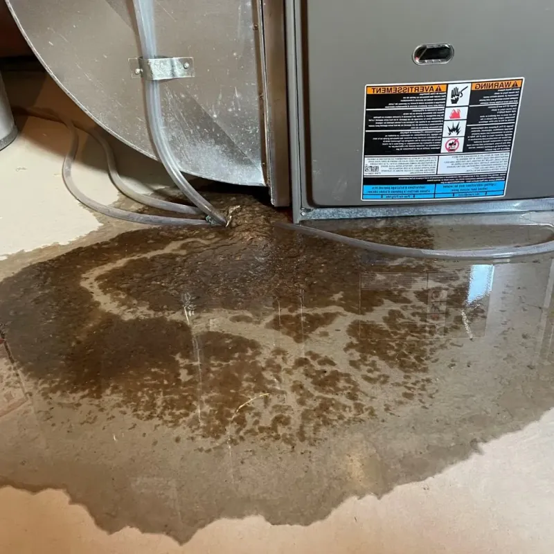 Pipe Burst and Leak Restoration in Reading, OH