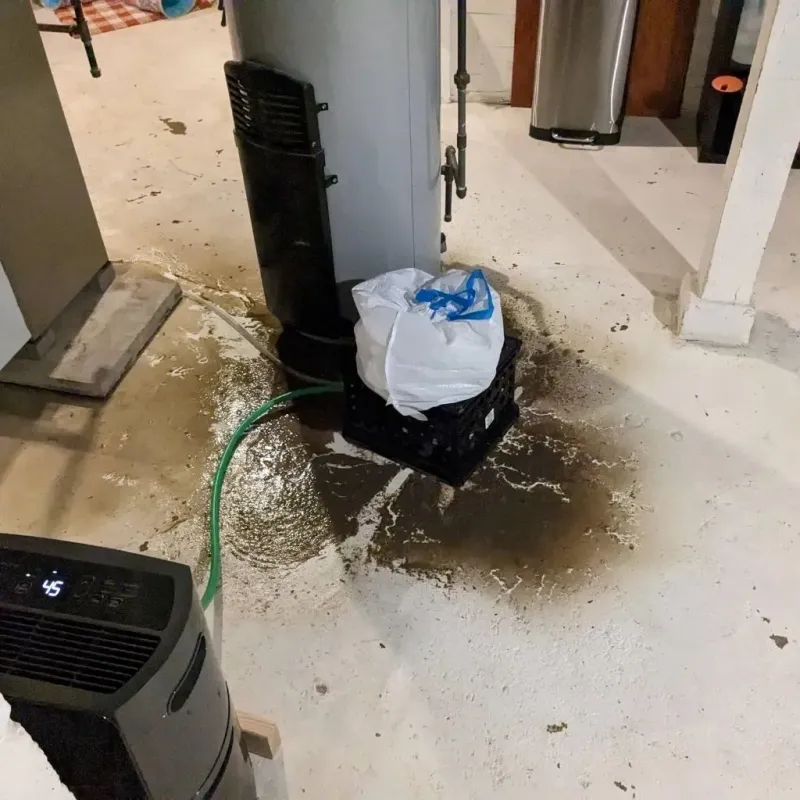 Sewage Backup Cleanup Service in Reading, OH
